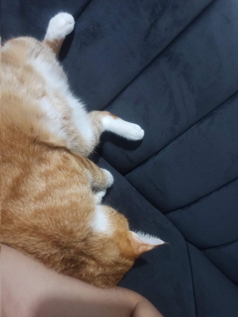 Cassandra Club (mint is live) tweet media