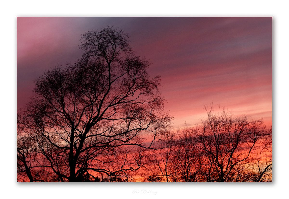 #Outdoors #Tranquility #Tree #Sky #Sunset #Nature #thephotowalkpodcast #shapingthelightwithgreg #diginordic #photopluscanonmagazine #photographymasterclassmagazine #canon_photographer #picoftheday