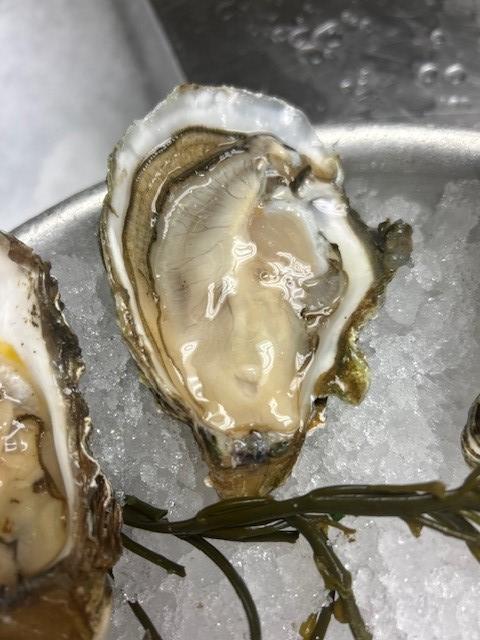 Come in for our $2 oysters! All oysters are $2 on Thursdays during lunch and dinner! #alloystersaretwodollars #oysterthursday #harryssavoygrill