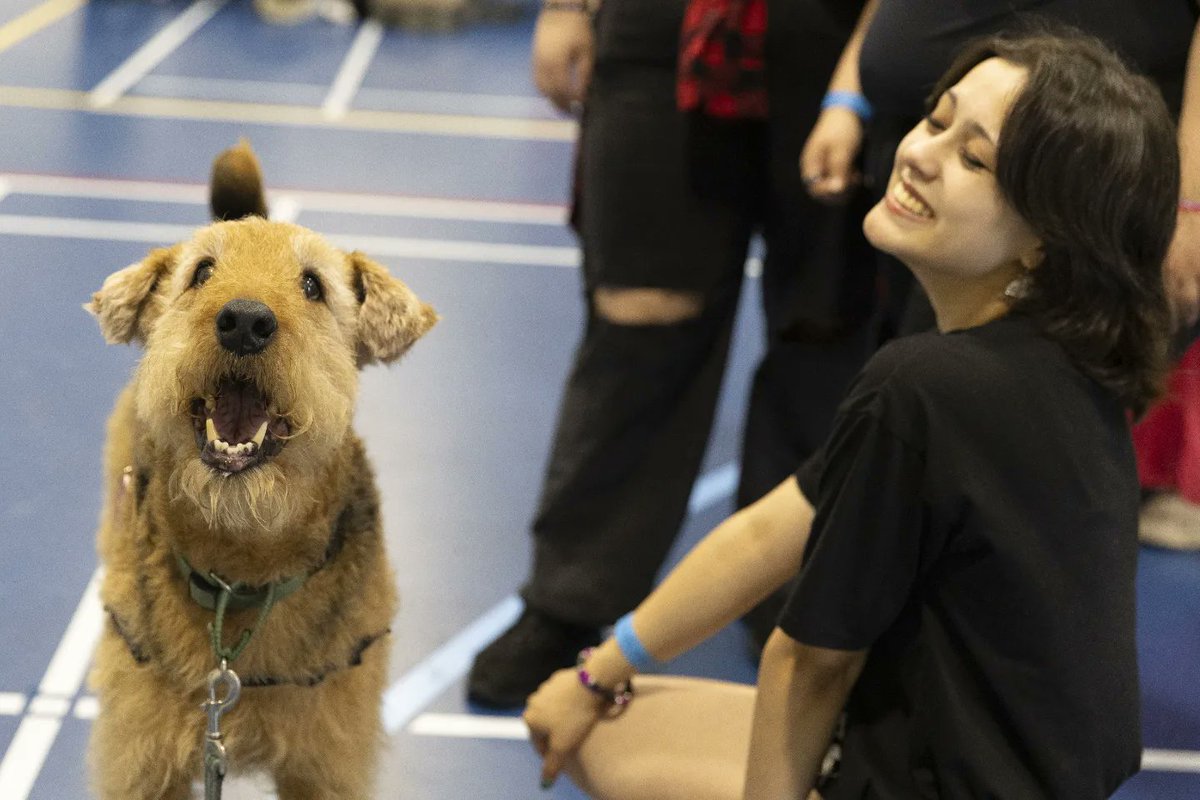 Turns out you just needed to pet some therapy dogs at Doggypalooza 😌🐕‍🦺
@UIC_SAB @UICCSI
#Finals #TherapyDogs #Doggypalooza #UIC #GoFlames