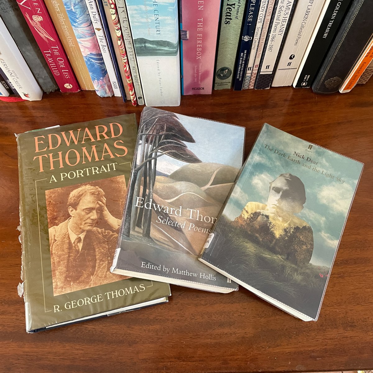 After a blissful weekend staying in the grounds of The Bee House where Edward Thomas wrote many of his poems, and wandering through spring flowers to his memorial stone, I’m having an #EdwardThomas moment. Thanks for the books @warkslibraries #AshfordHangers #ShoulderOfMuttonHill