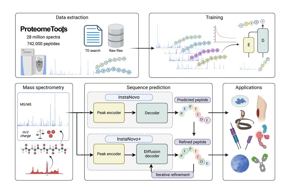 De novo peptide sequencing with InstaNovo: Diffusion-powered, peptide identification for large scale proteomics experiments researchsquare.com/article/rs-337…

---
#proteomics #prot-preprint