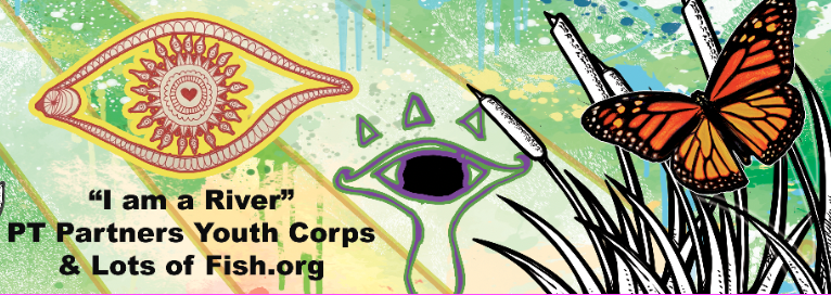 Lots of Fish tweet media