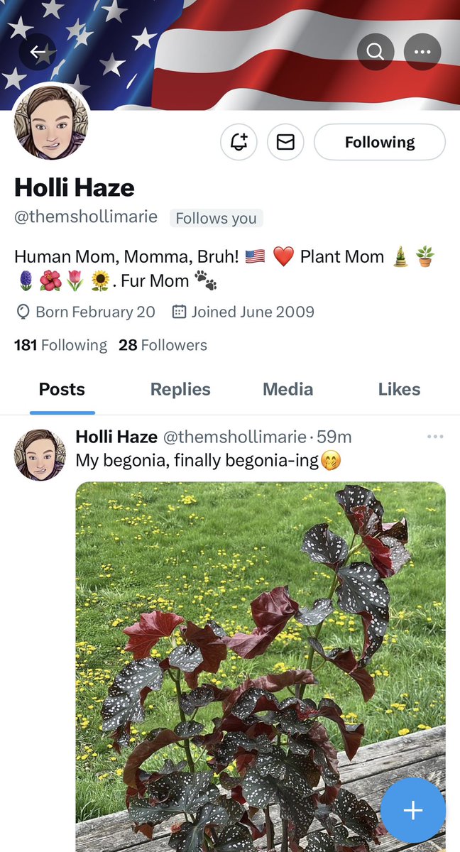 Hey everyone this is my friend Holli and she is also my close friend IRL as our sons are friends 😃 if you all could give her a follow I would appreciate it. Also she is learning X and will follow as she can! Thank you 🫶🌷 @themshollimarie