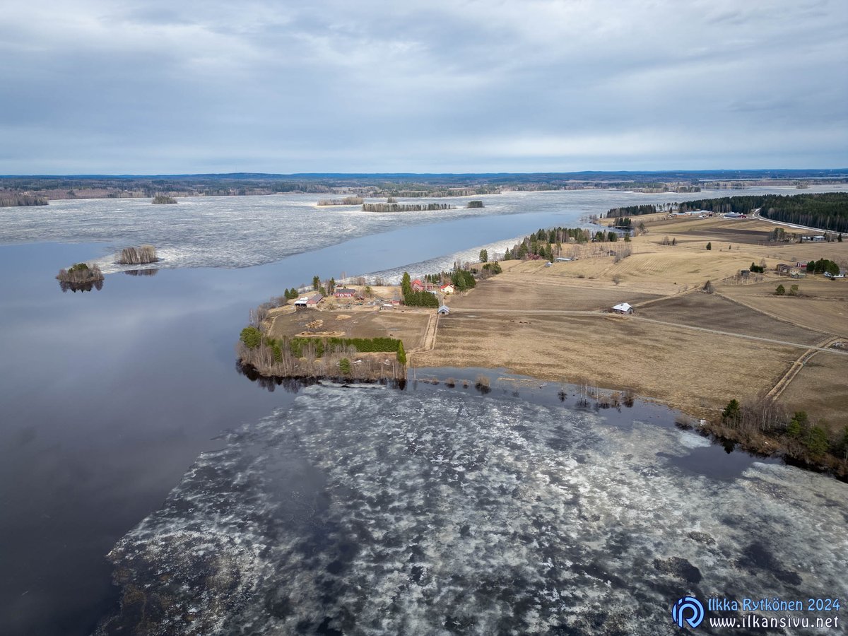 Hetki, ennen kuin maisema alkaa ruveta vihertämään. Jäidenlähtö on erittäin lähellä Iisalmen Haapajärvessä. #iisalmi #haapajärvi #paaslahti #maalaismaisema #ylesää #mtvsaa #ilmakuva #finland #visitfinland @OurFinland