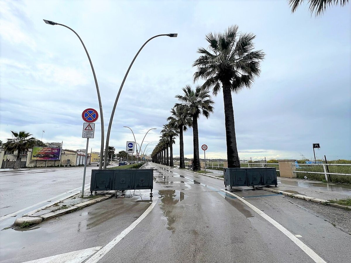 Intesa tra Comune di Barletta, Legambiente e SIGEA per la rinaturalizzazione dei cordoni dunari barlettalive.it/2024/05/02/int… #barletta