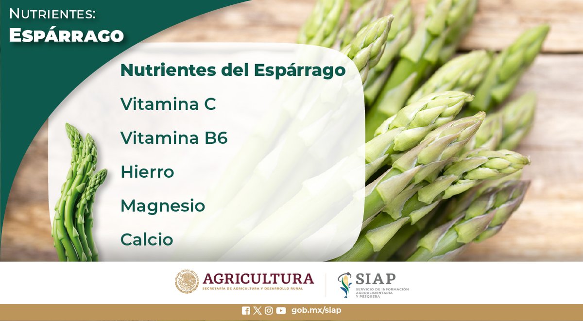 #Sonora, entidad líder en la producción de #Espárrago, destinó 19,740 hectáreas a su cultivo. #Hortalizas #AgriculturaMexicana #FelizJueves