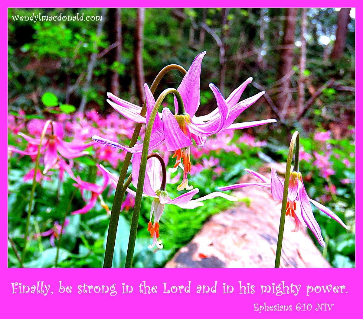 We have no power of our own to overcome the enemy but praise the Lord who is our strength and always brings true victory. ~ wlm #poetry #bibleverse