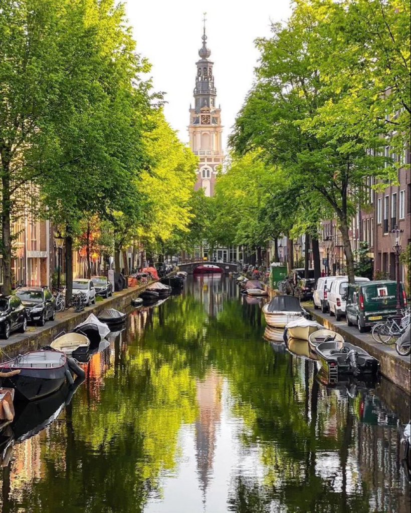 Netherlands 🇳🇱