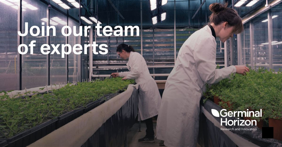 We are looking for a talented Field Technician to join our Germinal Horizon Aberystwyth team. Closing date: Friday 10th May 2024 Find out more: germinal.com/careers/field-… #researchjobs #sciencejobs #sciencecareers #plantbreeding