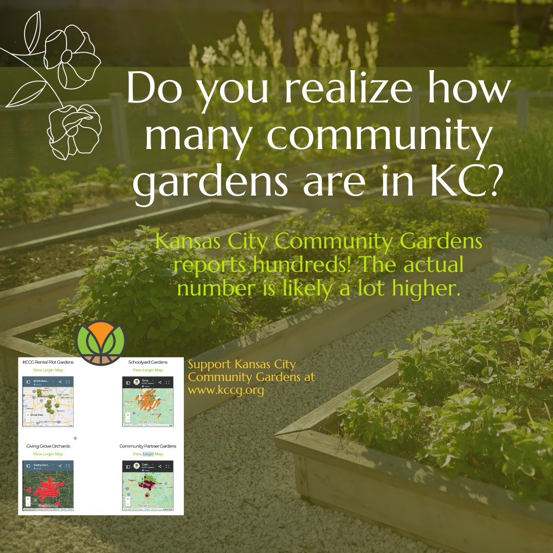 Community gardens are one of those things you don’t notice until you look for them.

When you see one, you’ll notice them all over! Kansas City Community Gardens (@KC_Gardens) has the most comprehensive list of hundreds of gardens.

#communitygardens #KCFoodways #LocalFoodUnity