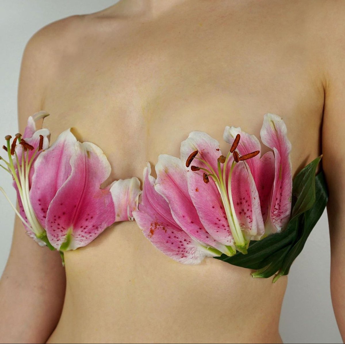 Spring Bras by Gabbois