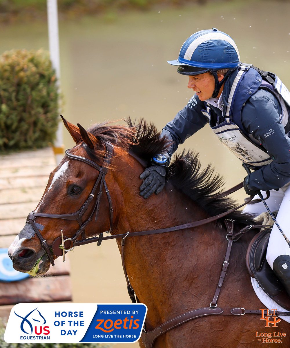 Phelps is #USEquestrian’s Zoetis Horse of the Day after completing his second CCI5*-L last week at K3DE with a double-clear cross-country round. @Zoetis | #LongLiveTheHorse