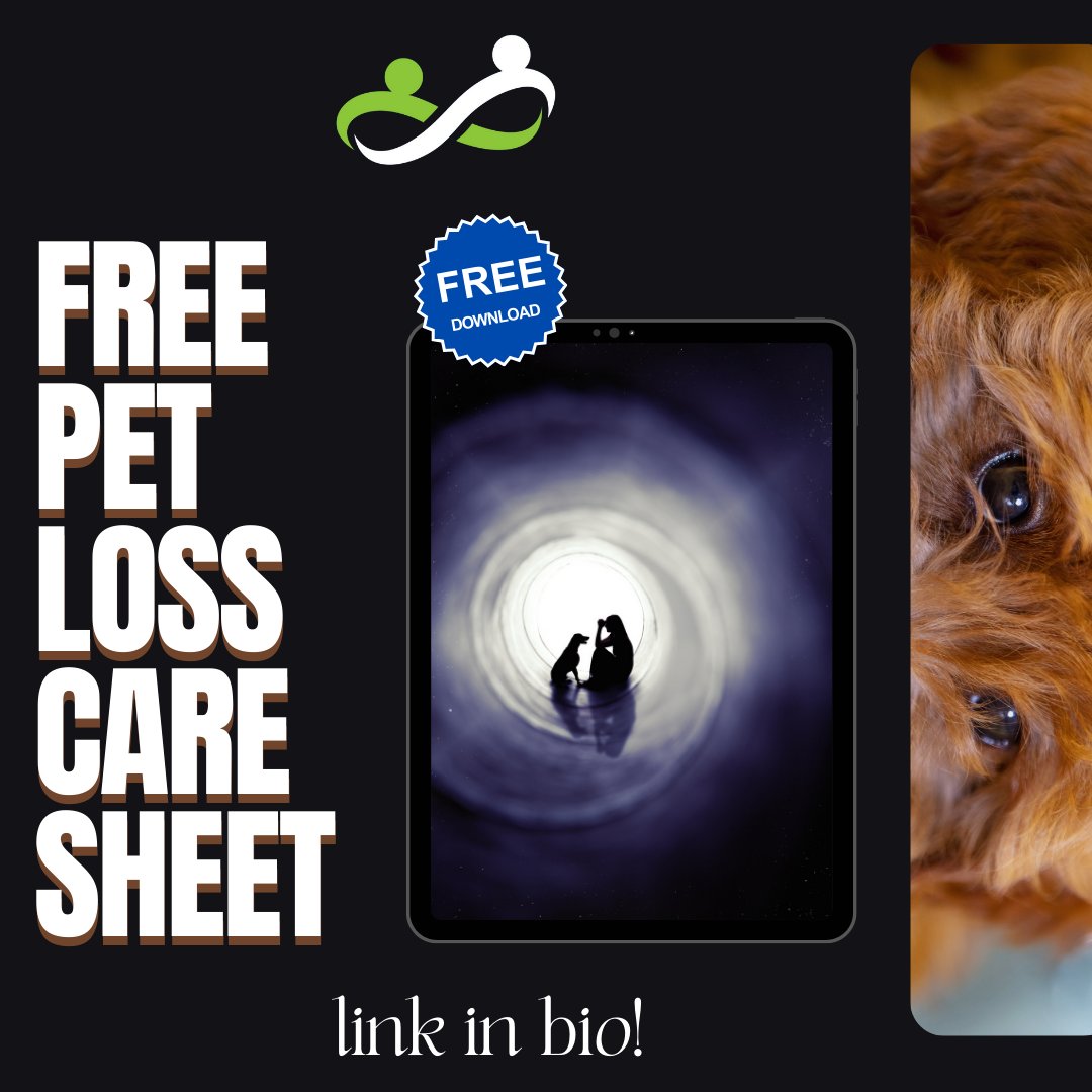 Facing the loss of a pet? 

📢Download Our FREE Pet Loss Care Sheet - l8r.it/J2yZ
⁠

#Caregivers #Caregiving #Alzheimers #guidebook #unpaidcarers #caring #dementia #selfcare #selfhelp #careplan #package #respitecare #support #petloss #caregiverlife #caregiverjourney