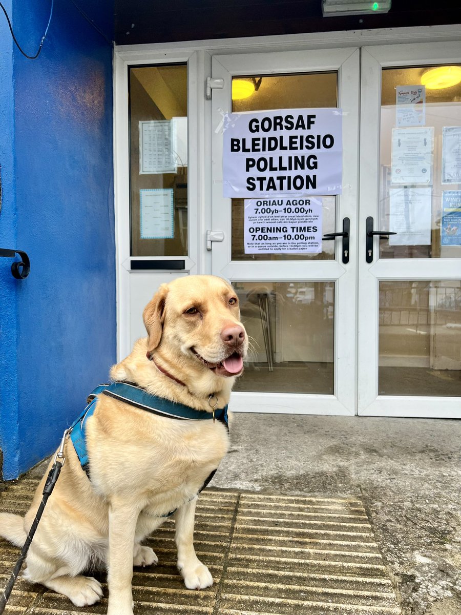 After much consideration, Toby decided to spoil his ballot after it emerged Hole, Digging A was not listed as a candidate. #DogsAtPollingStations