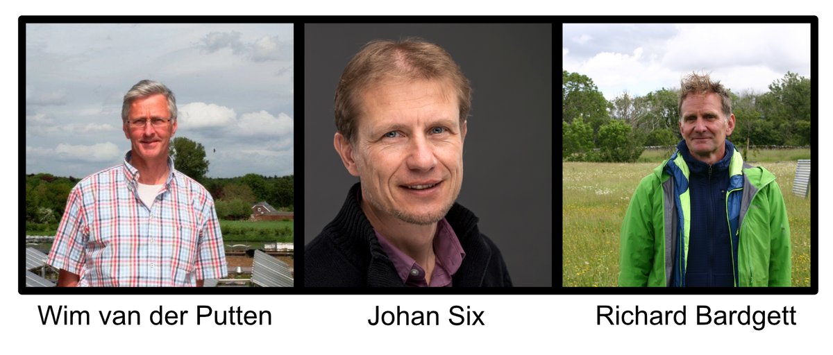 Big announcement 📣 GSBI co-founders Wim van der Putten (Netherlands), Johan Six (Switzerland), and Richard Bardgett (United Kingdom) will step in as co-interim scientific chairs of GSBI. To learn more see: globalsoilbiodiversity.org