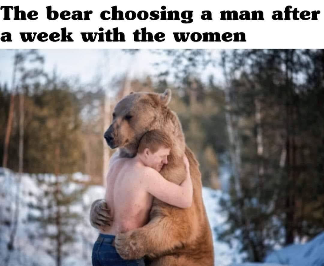 The bear choosing a man after a week with the women. #KeepingItReal #FactsMatter #Fact #FactChecking #feminist #democRat