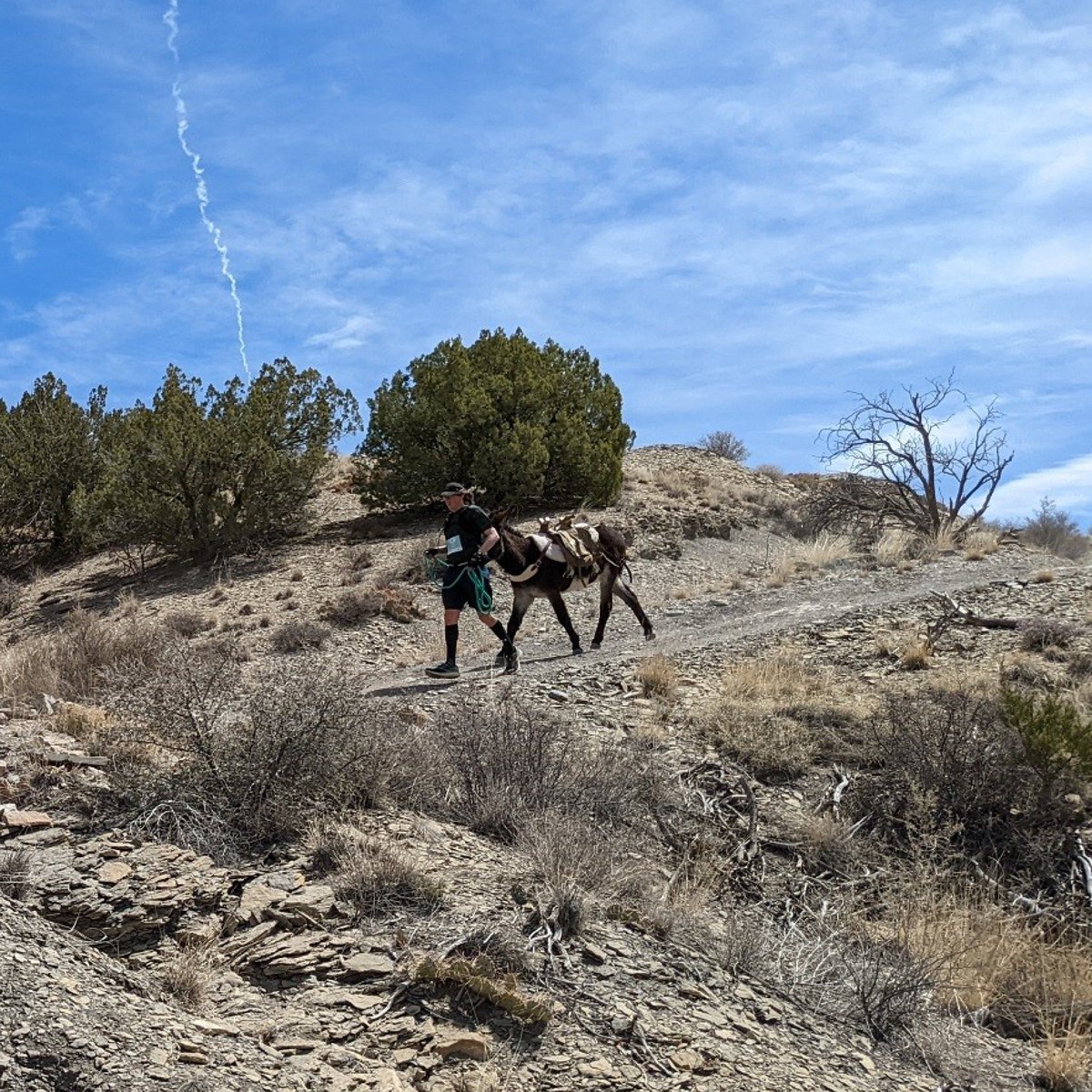 NMStateParks tweet picture