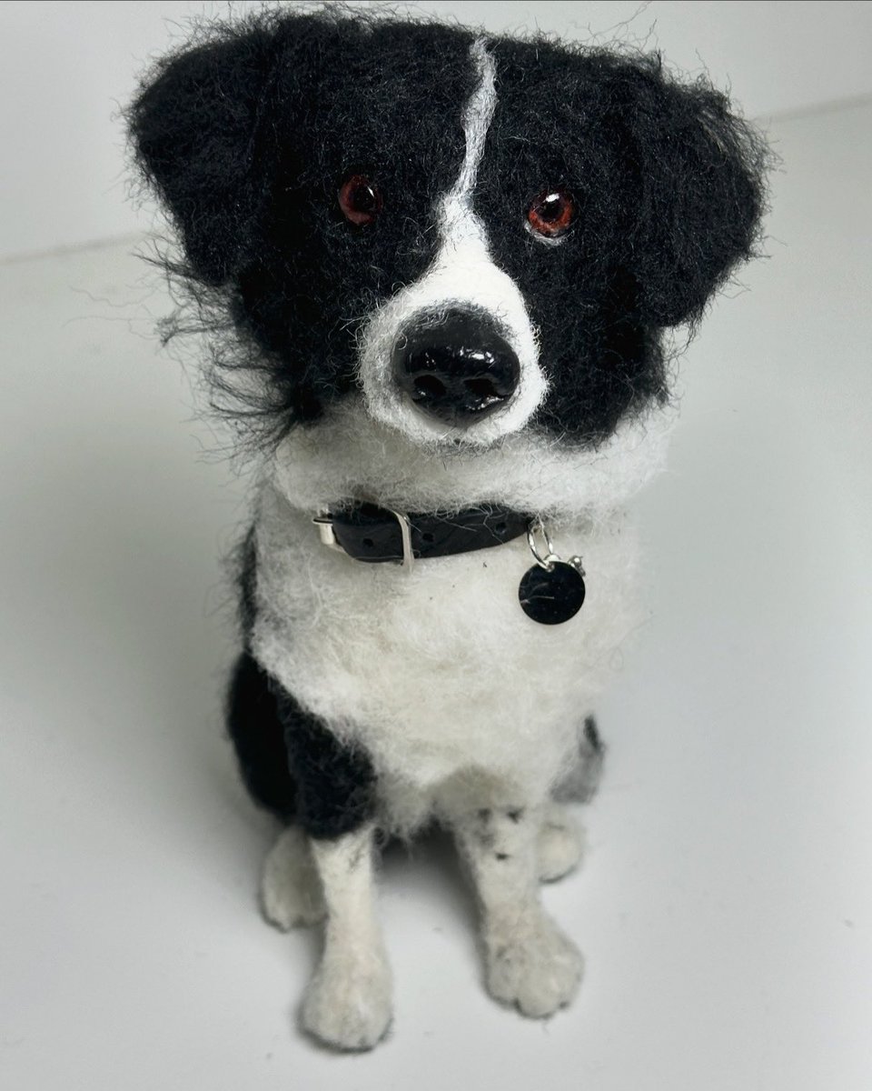 Can share this needle felted border collie portrait