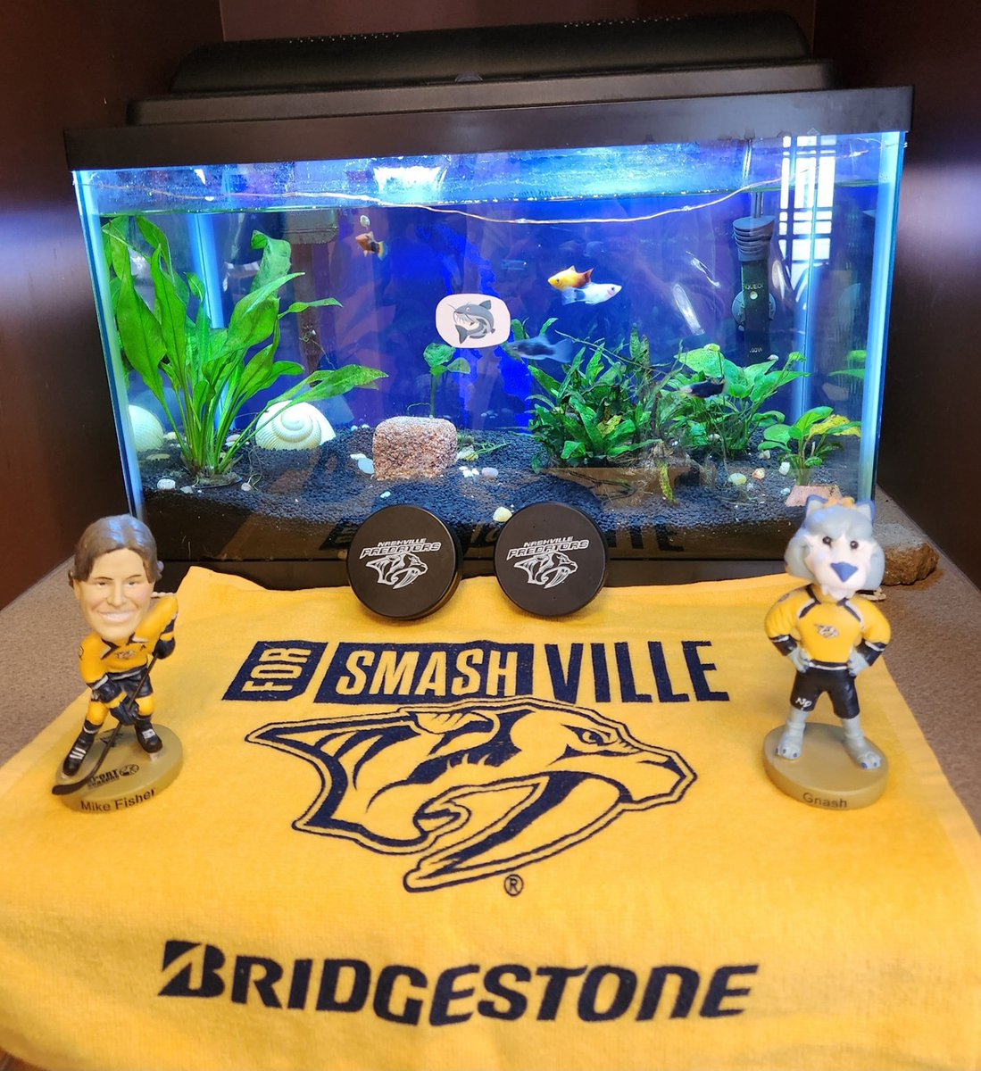 FirstStepsNash's tweet image. First Steps’ fish are cheering for the Preds and their catfish friends! Gnash and Mike “Fish”er are joining the fun! @NashvillePreds_ @PredsFoundation @deximaging @helper_abby