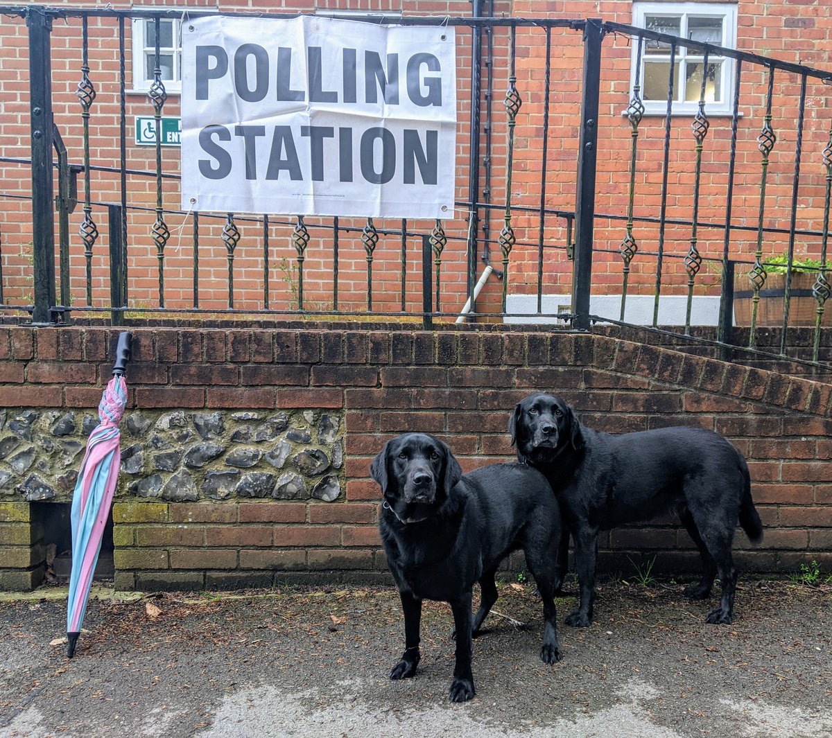 Ready to cast their votes for the next Wiltshire PCC. #dogsatpollingstations