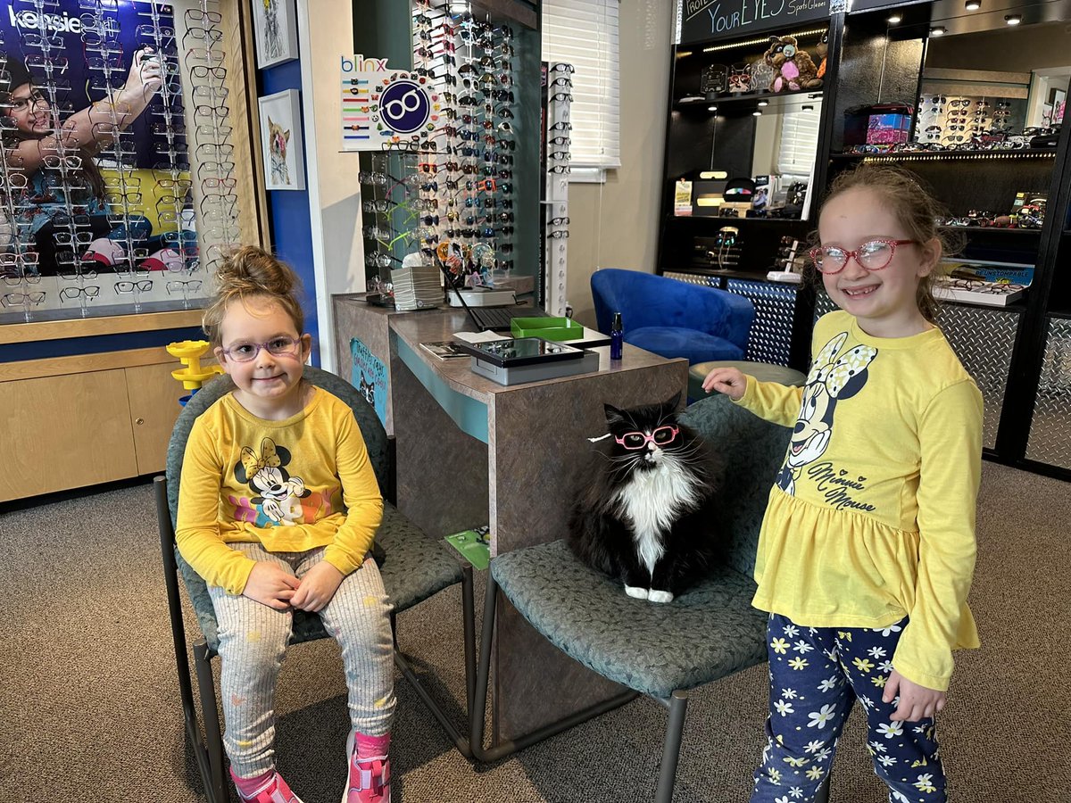 Truffles, the famous optician's cat who helps children feel less nervous during visits/eye exams.