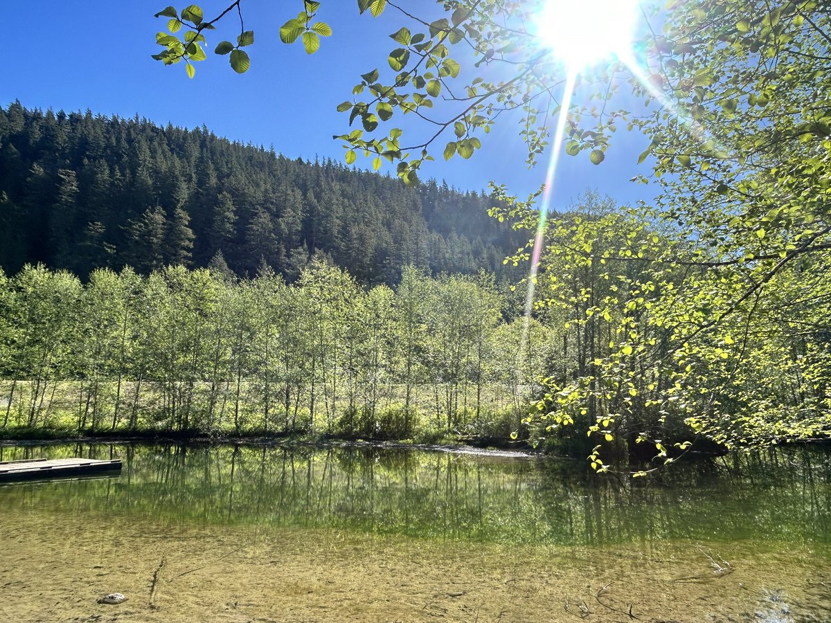 Love it when I have a minute or two to visit students at <a href="/CheakamusCentre/">Cheakamus Centre</a>. Couldn’t ask for a better morning to do it. So grateful to be on this beautiful Skwxwú7mesh Úxwumixw territory.  🙌🏼. <a href="/NVSD44/">School District 44</a> <a href="/lynnmour44/">Lynnmour44</a>