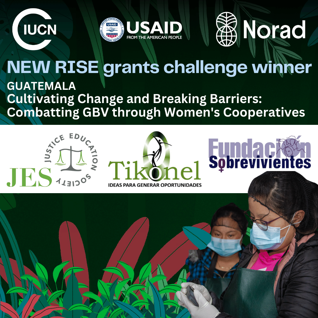 👏 Au nouveau projet #RISEgrants “Cultiver le changement et briser les barrières : Combattre la violence basée sur le genre à travers les coopératives de femmes au Guatemala” de @JusticeED @Sobrevivientes1 & #Tikonel avec des femmes autochtones 🤝🔗gender.pub/winners