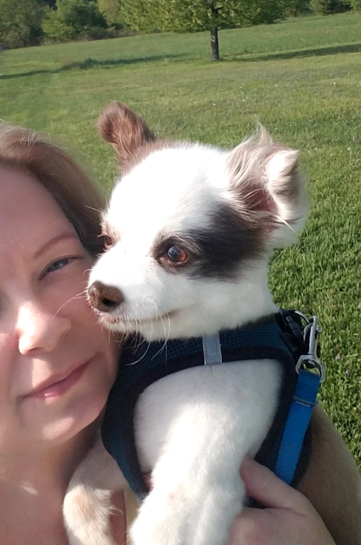 🎉FURCUT✂️PUPDATE!🎉 Got my Summer Furcut! Do yoo fink I look hansum?🥰 Mama waz supa worried bout my breathing issues & sat outside da Groomers wif my Oxygen Tank & Mask!🫣 I did good & didn't need em!🎉 Mama took me to a lubly park to Celebrate!🎉🌳 RETWEET☺️♥️🐶 #dogsoftwitter