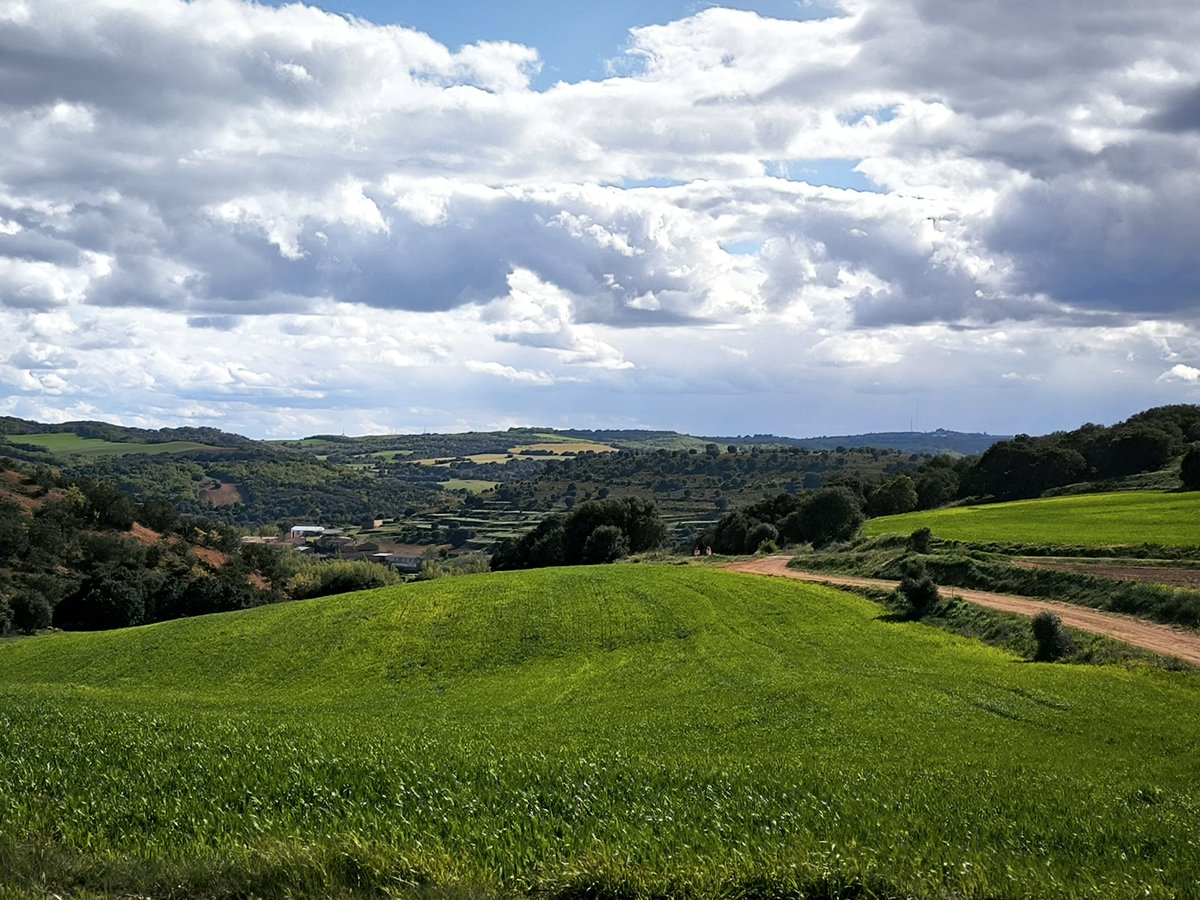 elenaortpin's tweet image. Aquí, lejos de todo 

#Españavacía #Españavaciada #soria