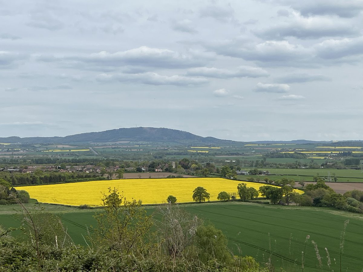 #Shropshire #Weather Overcast with outbreaks of rain this afternoon, turning heavy and persistent at times with some rumbles of thunder possible. Feeling a little cooler under cloudier skies. A high of 13C.