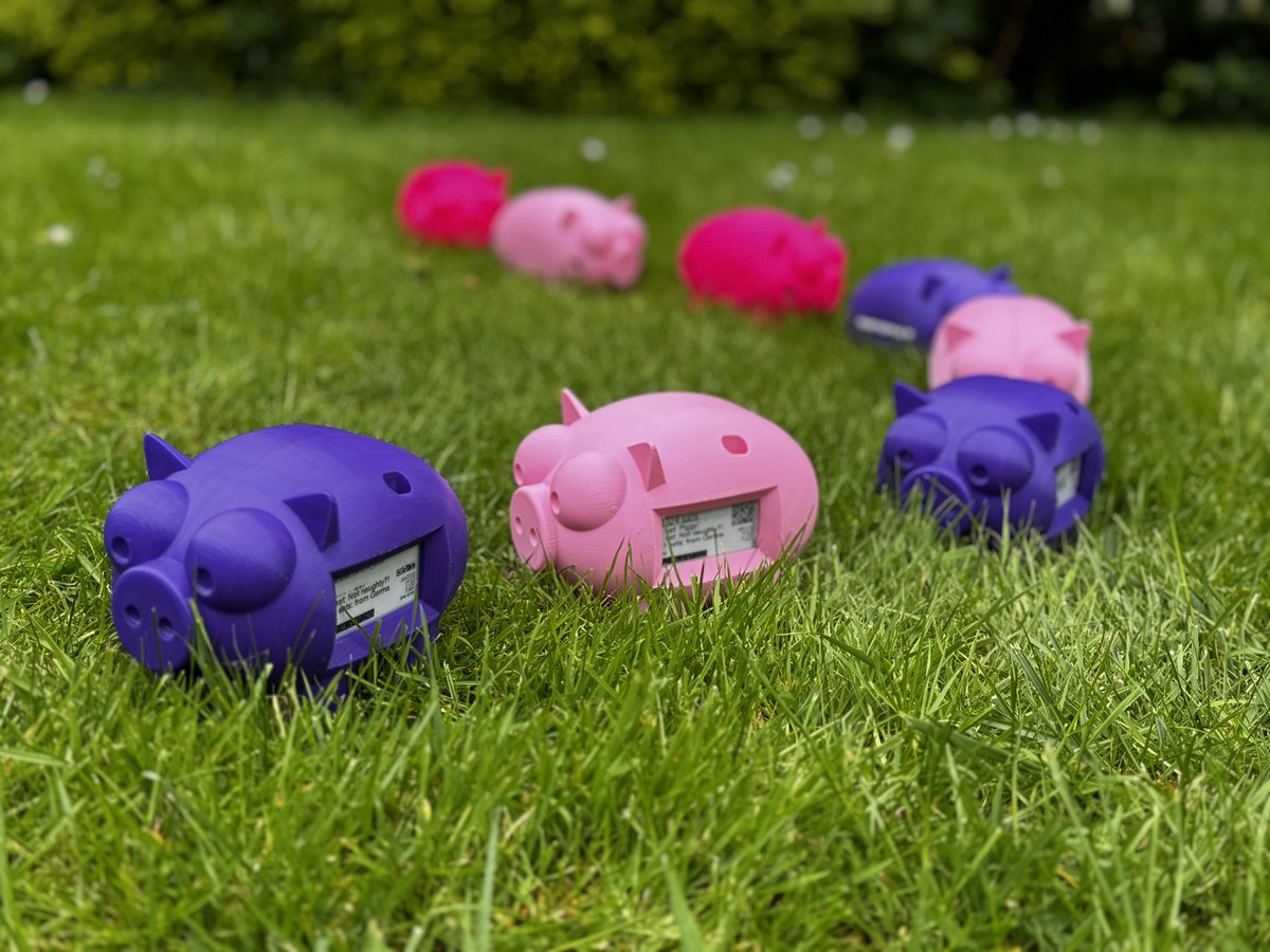 RobotechyShop's tweet photo. 3D printed @LightningPiggy (“self-sovereign” #Bitcoin Lightning kids piggy banks running on @lnbits) now available for sale at https://t.co/ITroqbILlq  #MarchOfThePigs @umbrel @lilygo9 @RaspiBlitz https://t.co/XRe58sGGyX