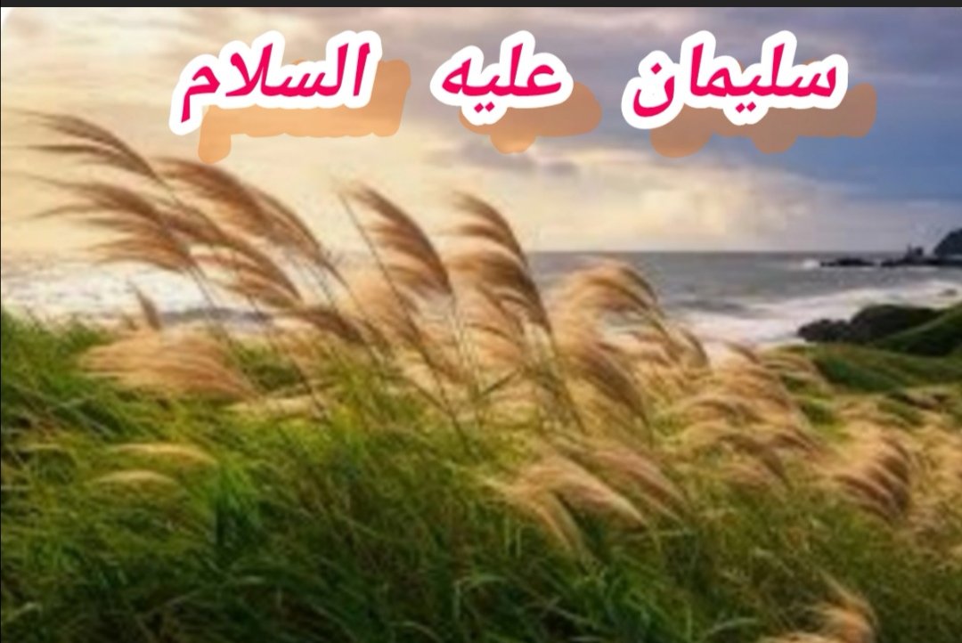 h62674022's tweet photo. النبي
سليمان عليه السلام

يارب افوز
ماخاب من قال يارب

🌧️🌧️🌧️🌧️🌧️🌧️🌧️🌧️🌧️🌧️🌧️#الاكارم35 https://t.co/1dlEvYx4IQ