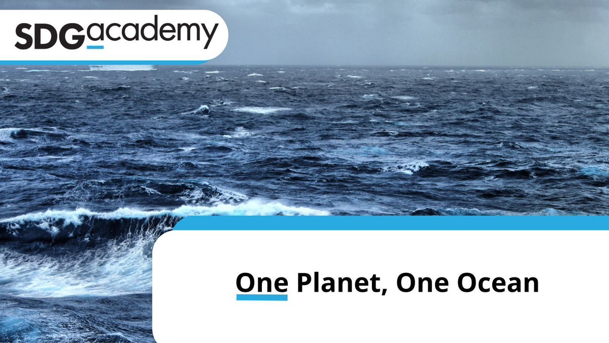 Happy #WorldTunaDay! 🐟 If you are in the fishing industry, you will want to check out our course, One Planet, One Ocean, to learn more about how we can manage ocean resources for the #SDGs. Enroll➡️ buff.ly/3DGzpki