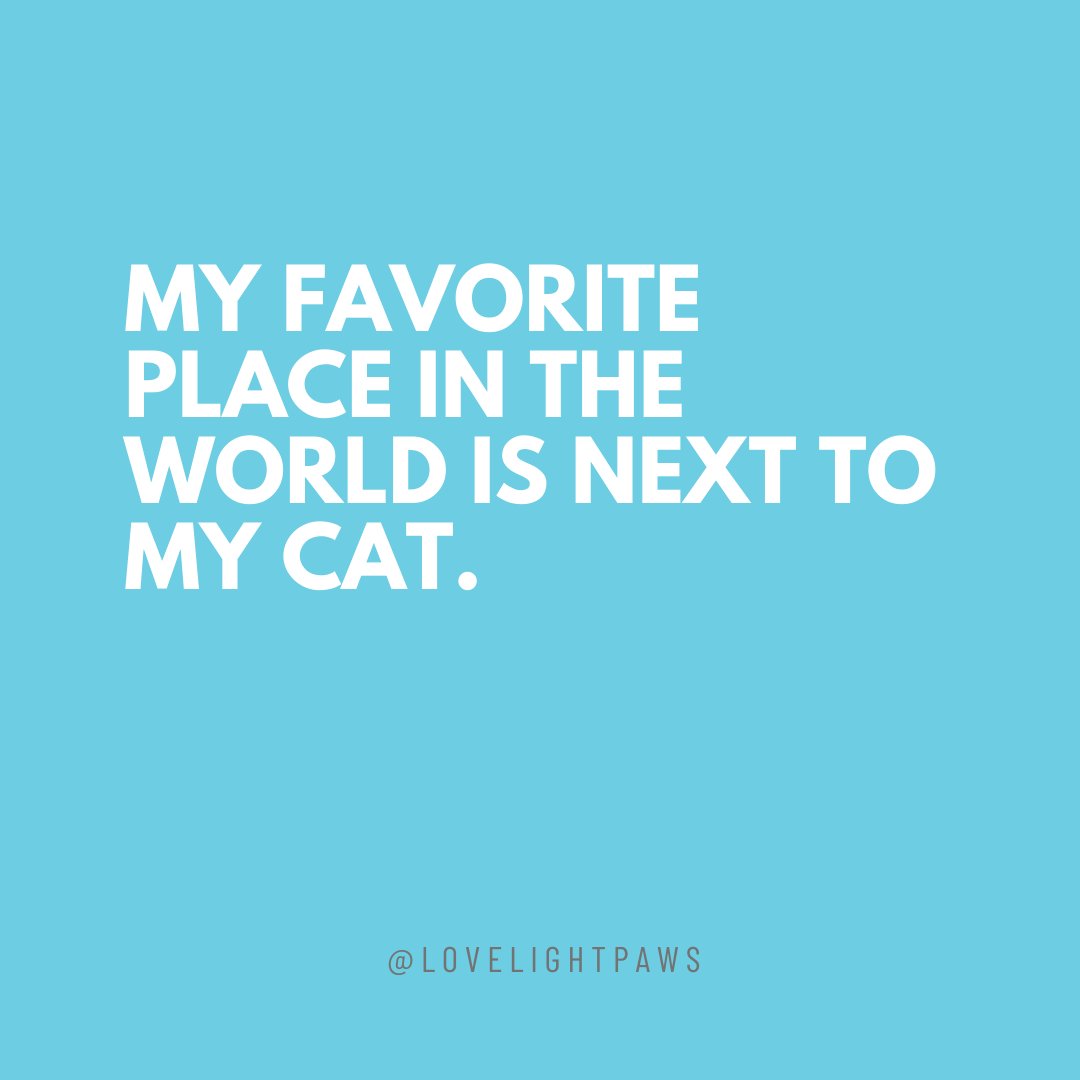 Next to my dog/cat and @ tag someone ✨

#dogquotes #dogmemes #petquotes #petmemes