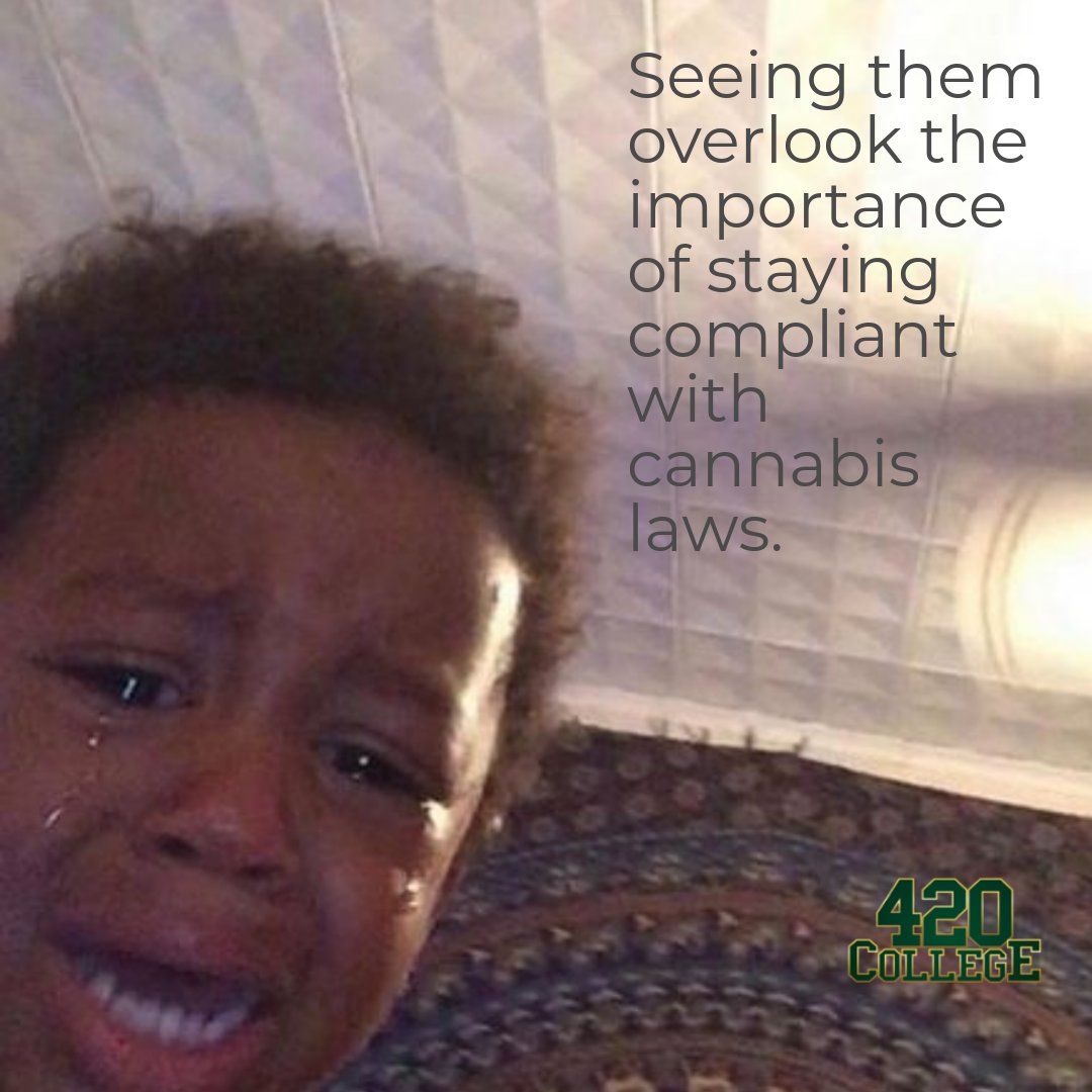 Don't get lost in the weed! 🌿 Navigating cannabis laws is tricky, but we've got your back. Stay informed, stay compliant, and let's grow together! 🚀 Need help? Reach out to us at 420 College. Share your thoughts or tag a bud! 📢 #CannabisCompliance #CannabisEducation