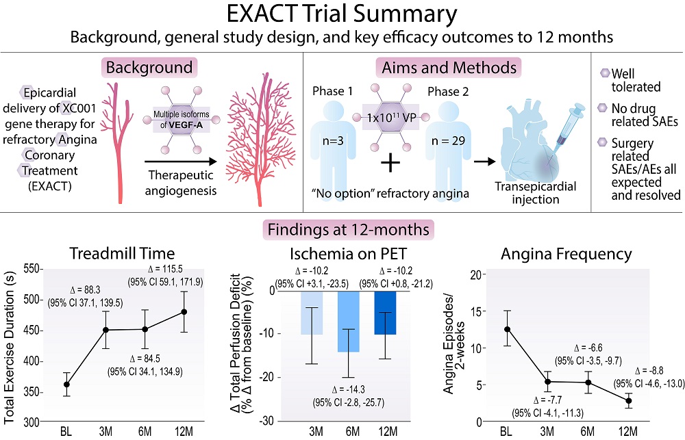 Epicardial Gene Therapy for Refractory Angina. The EXACT Phase 2 Trial. Improved Symptoms, Exercise Tolerance and Ischemia at 12months with VEGF Gene Therapy. A simultaneous publication with #SCAI2024 @SCAI @faisalbakaeen #cardiotwitter #AHAJournals ahajournals.org/doi/10.1161/CI…