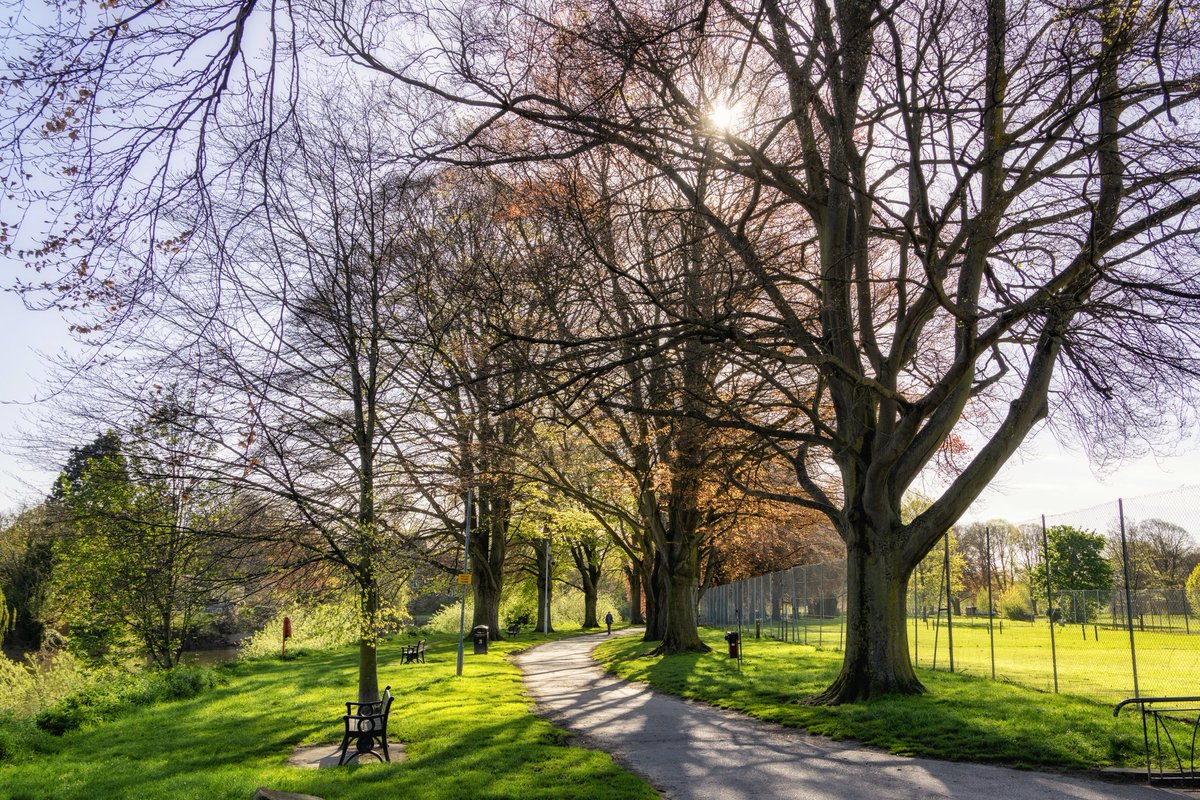 Sunshine strolling beside the Wye in #Hereford, #Herefordshire 🌳 and a throwback to one of the halcyon days of sunshine we had a week, or two ago... be nice if it came back 🙂☀️