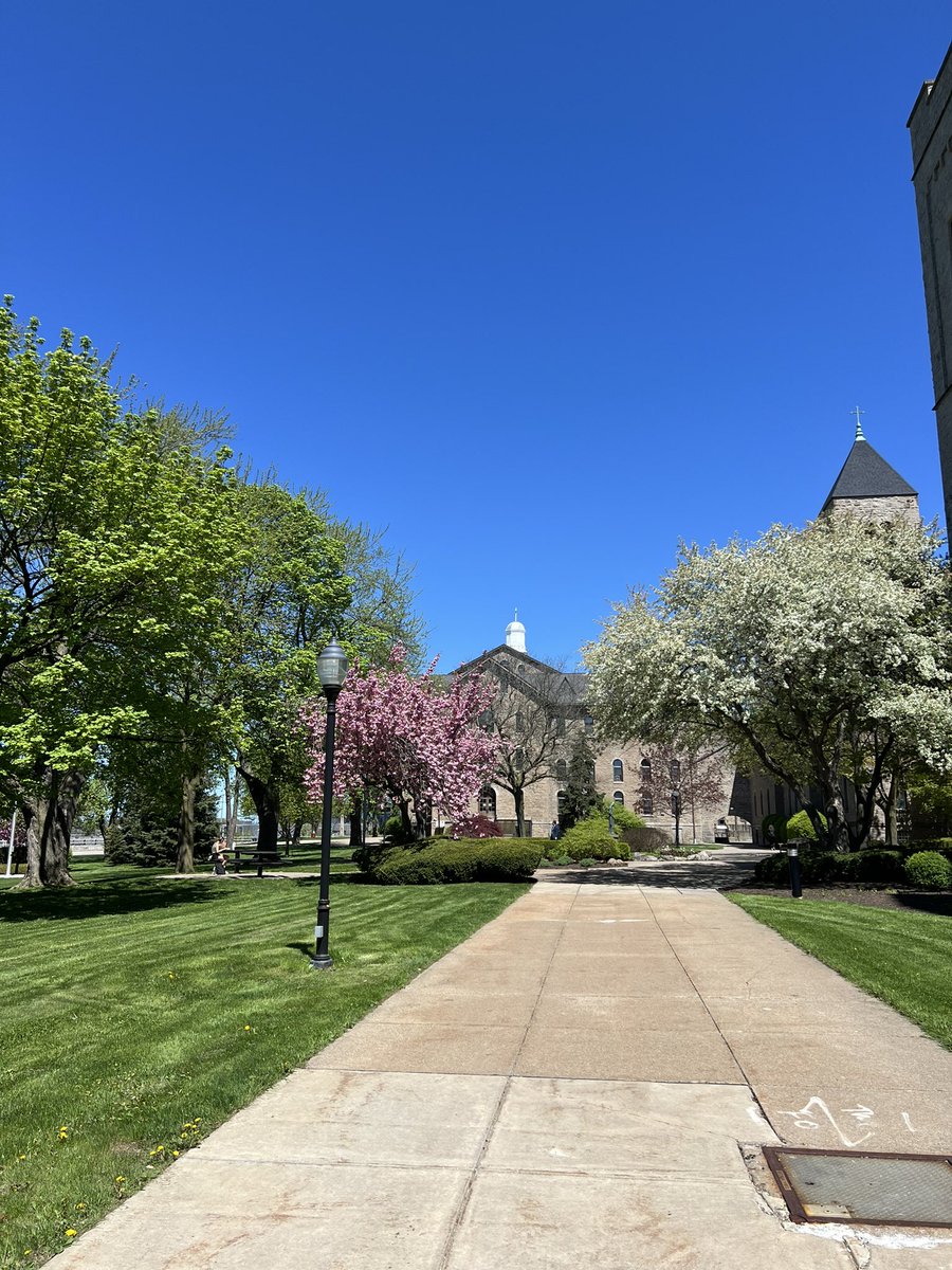 Kayla DeCriscio tweet media