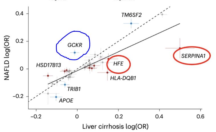 @rabataller Tx for highlighting the study. I was especially intrigued by GCKR. Strong association with NAFLD (p=10e-18), but no effect on cirrhosis. To my knowledge it's the only SNP that effects NAFLD alone (without also increasing the risk of cirrhosis). Why?
