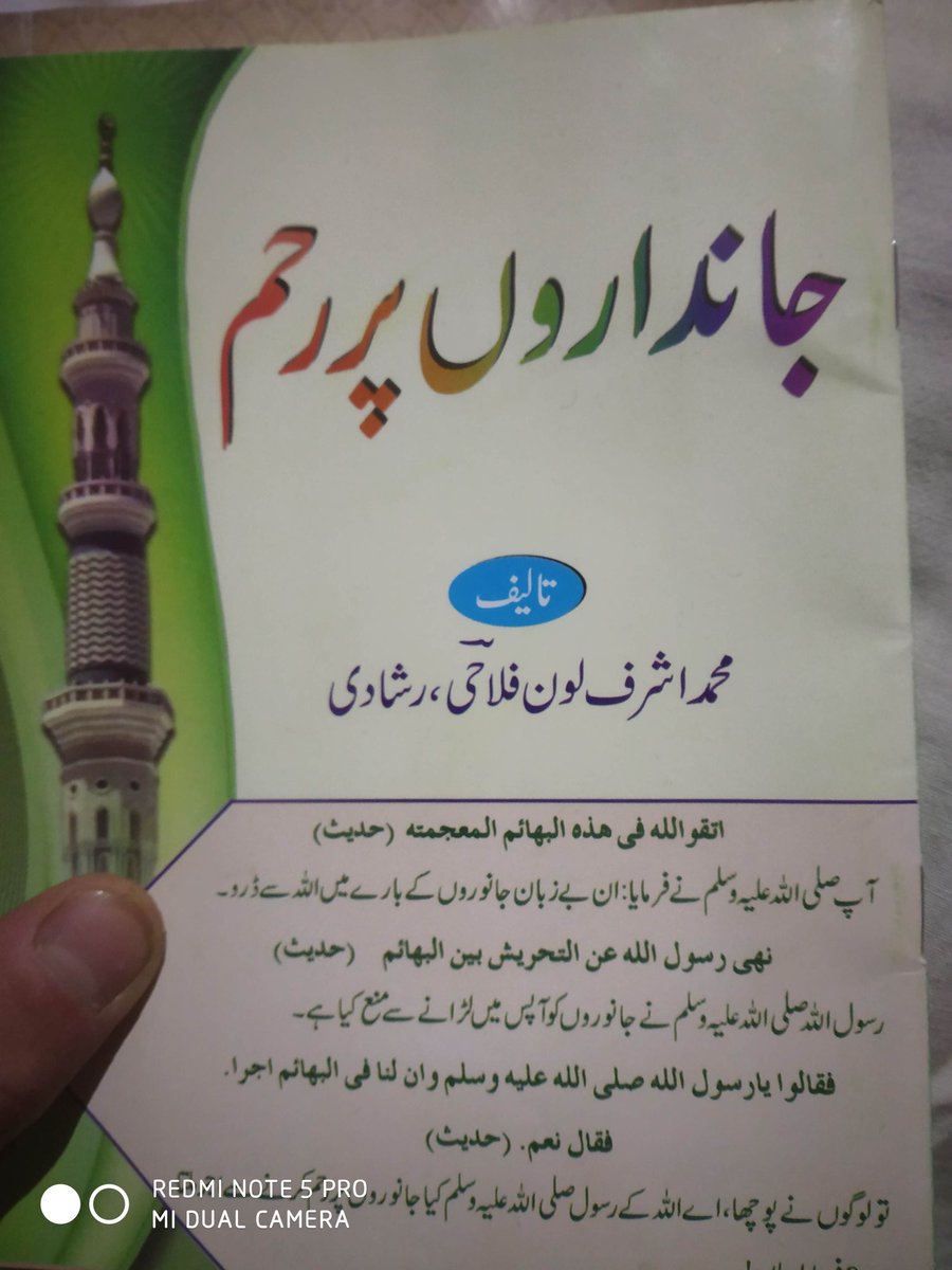 thankyou @Zia_0009 brother for this beautiful gift may Allah SAW reward you