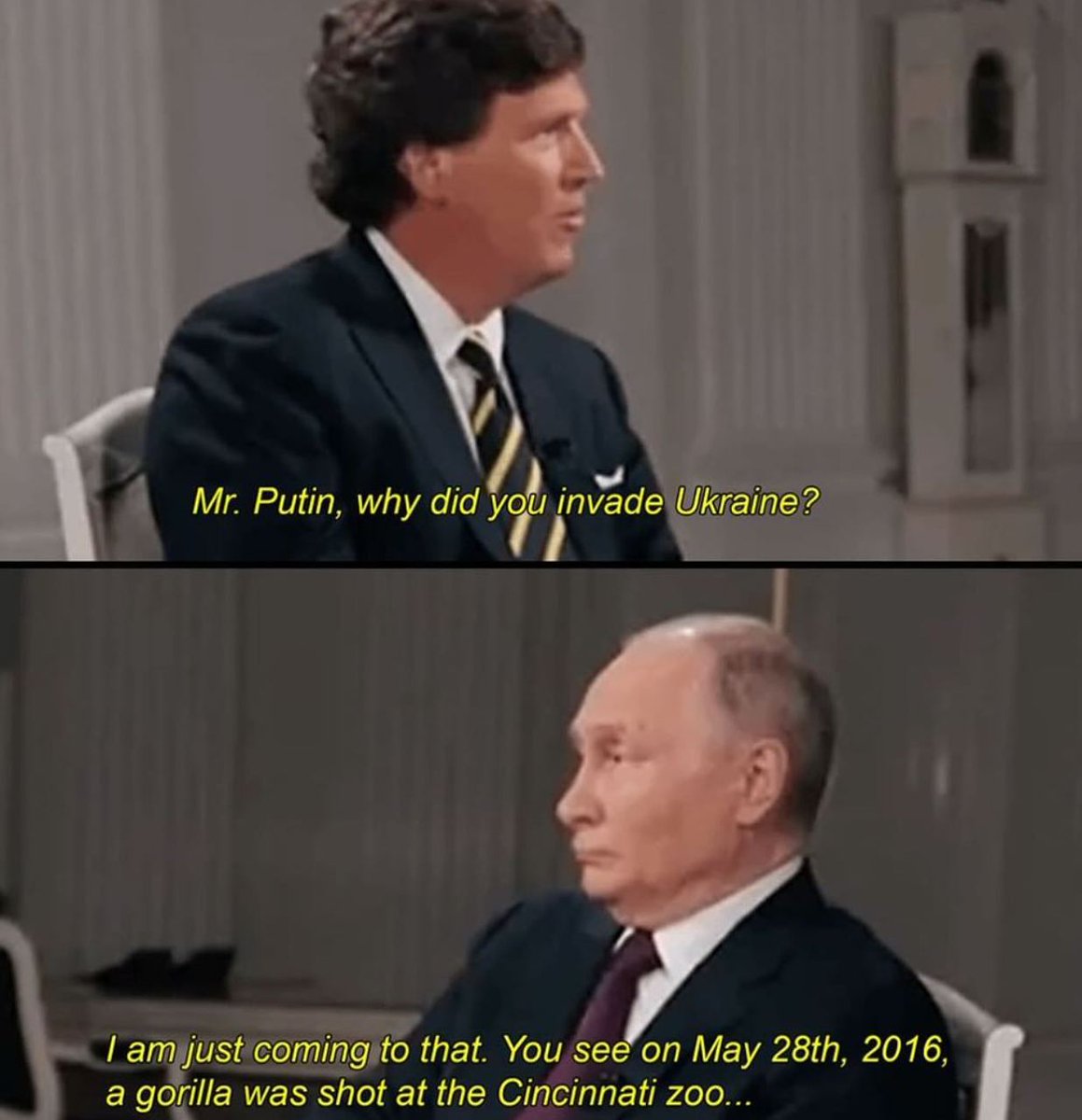 Harambe Official tweet media