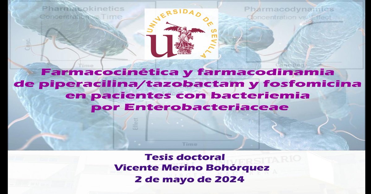 Vicente Merino Bohórquez tweet media