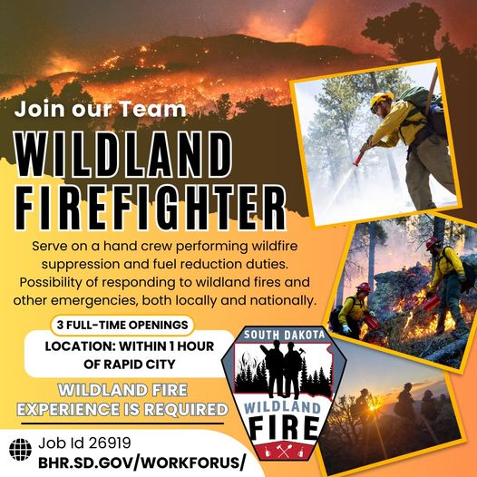 Are you a trained Wildland Firefighter? Make it a full-time career and join the South Dakota Department of Public Safety Wildland Fire Division!
Details: sodakprod-lm01.cloud.infor.com:1443/lmghr/xmlhttp/…
#SouthDakota #workforus #hiring #apply #career #wildlandfirefighter
