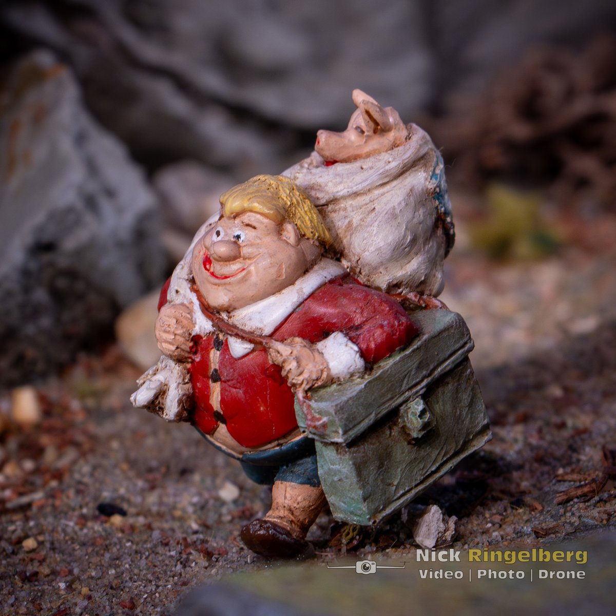 Holle Bolle Gijs heeft een varkentje op de kop getikt!

#efteling #diorama #miniatuur #hollebollegijs #themeparks
