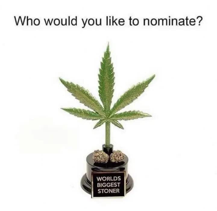 So, who would you nominate? Could be someone to smoke with or your favorite advocate.. #Cannabis #LegalizeIt #CannabisCommunity #Mmemberville