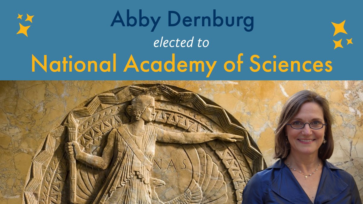 Congrats to MCB’s Abby Dernburg @adernburg on her election to the National Academy of Sciences @theNASciences! 👏🎉news.berkeley.edu/2024/05/02/uc-…