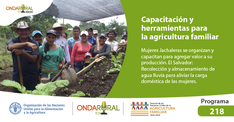 📡 Al aire el #programa218 de Onda Rural📻

 ✅ <a href="/COPROFAM2/">COPROFAM</a> contribuye a la creación de una caja de herramientas para jóvenes de la #agriculturafamiliar👩‍🌾🧑‍🌾

#EXPERIENCIA: Recolección y almacenamiento de agua lluvia en El Salvador🇸🇻

🎧Escúchalo ➡️ ondarural.org/node/1552