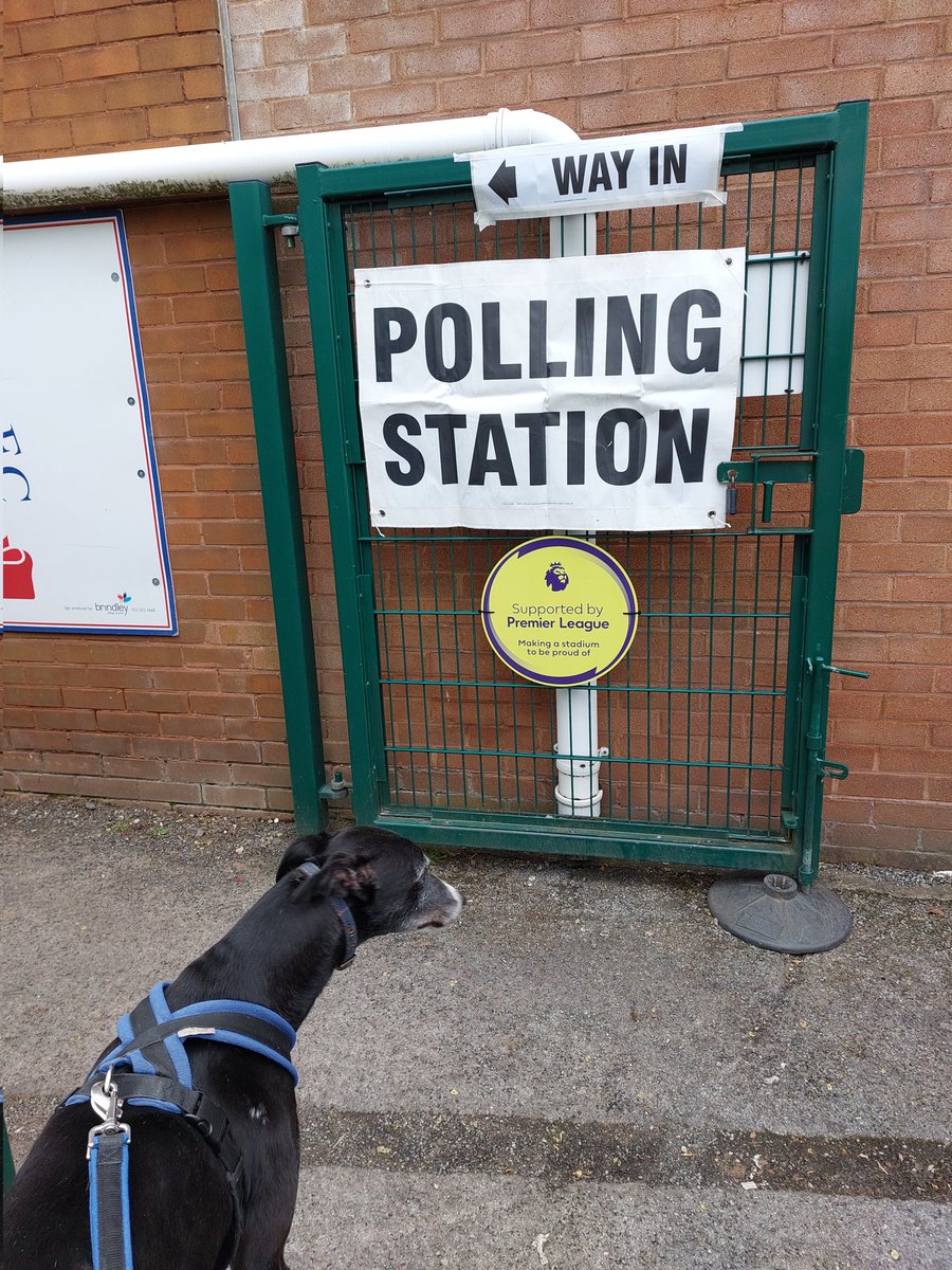 Gone to help hoomum and hoodad vote #dogsatpollingstations