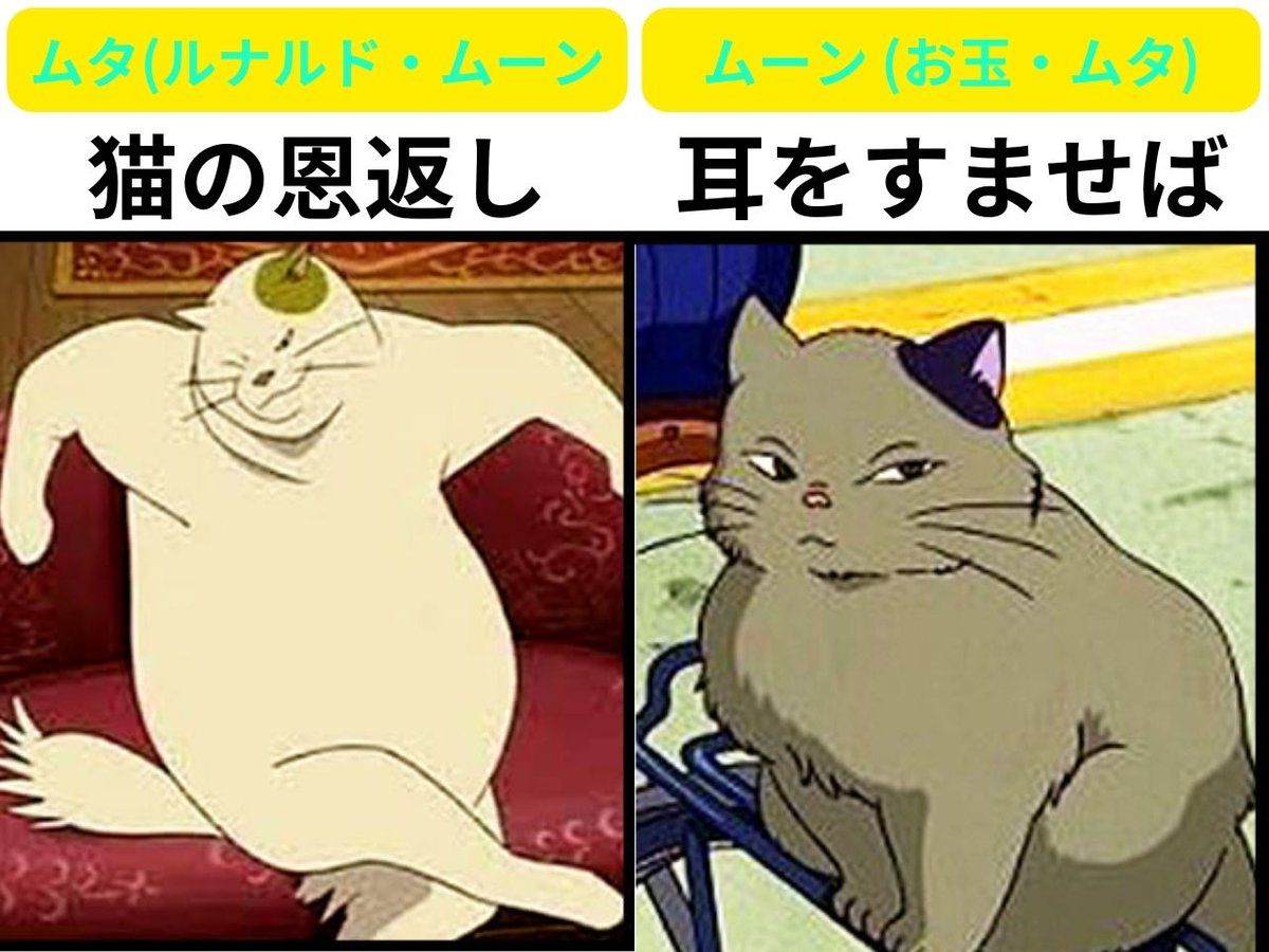 '猫の恩返し' と '耳をすませば' 共通の登場キャラクター

#猫の恩返し 
#耳をすませば